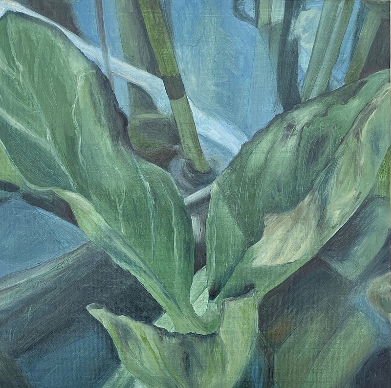 6. Oil on canvas, 30cm x 30cm - Undergrowth Series