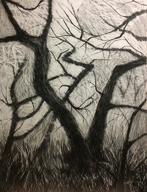 Wild Wood Drawing 6 56cm x 76cm Graphite on Paper - Wild Woods Drawing Series 2021