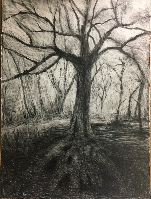 Wild Wood Drawing 5 56cm x 76cm Graphite on Paper - Wild Woods Drawing Series 2021