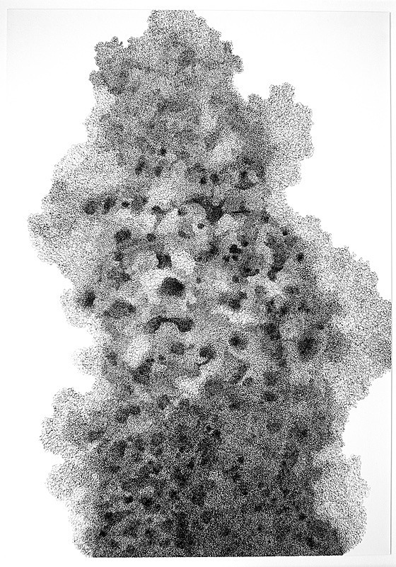 Fray and Fragment 11, Indian ink on Paper, 59cm x 84cm - Fray and Fragment, Drawings, 2011