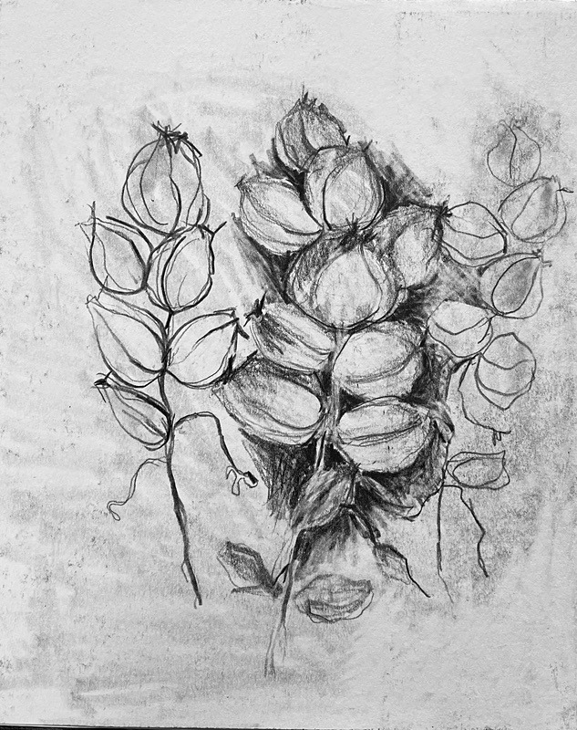 Bogland Matter 26, 16cm x 20cm - Burgeon Bog Project