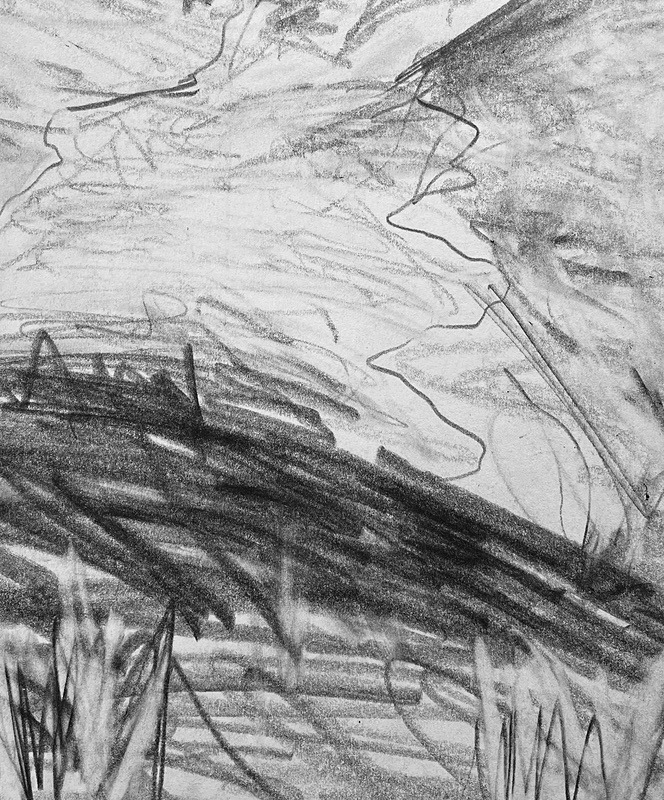 Bogland Matter 19, 16cm x 20cm - Burgeon Bog Project