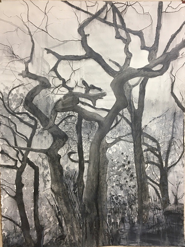 Wild Wood Drawing 4 56cm x 76cm Mixed Media on Paper - Wild Woods Drawing Series 2021