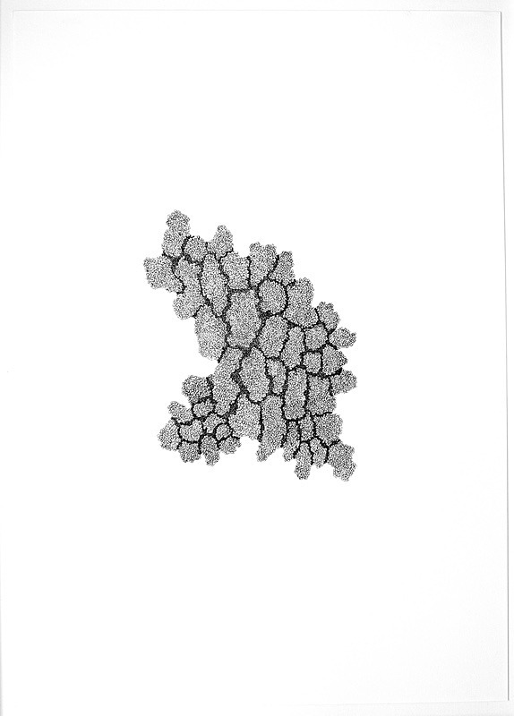 Fray and Fragment 10, Indian Ink on Paper, 59cm x 84cm - Fray and Fragment, Drawings, 2011