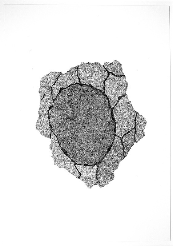 Fray and Fragment 9, Indian Ink on Paper, 59cm x 84cm - Fray and Fragment, Drawings, 2011