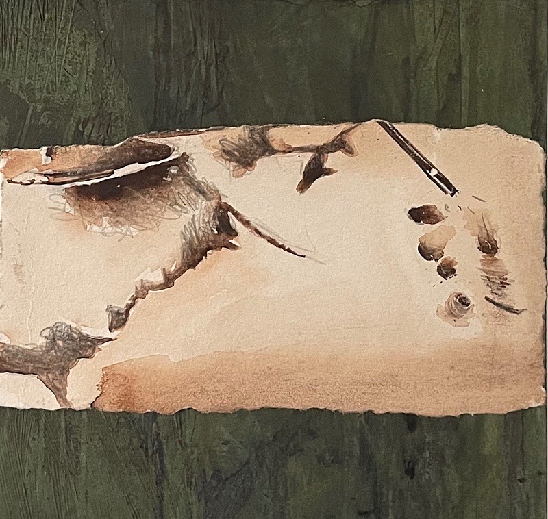 Bog Earth 16, 15cm x 15cm - Burgeon Bog Project