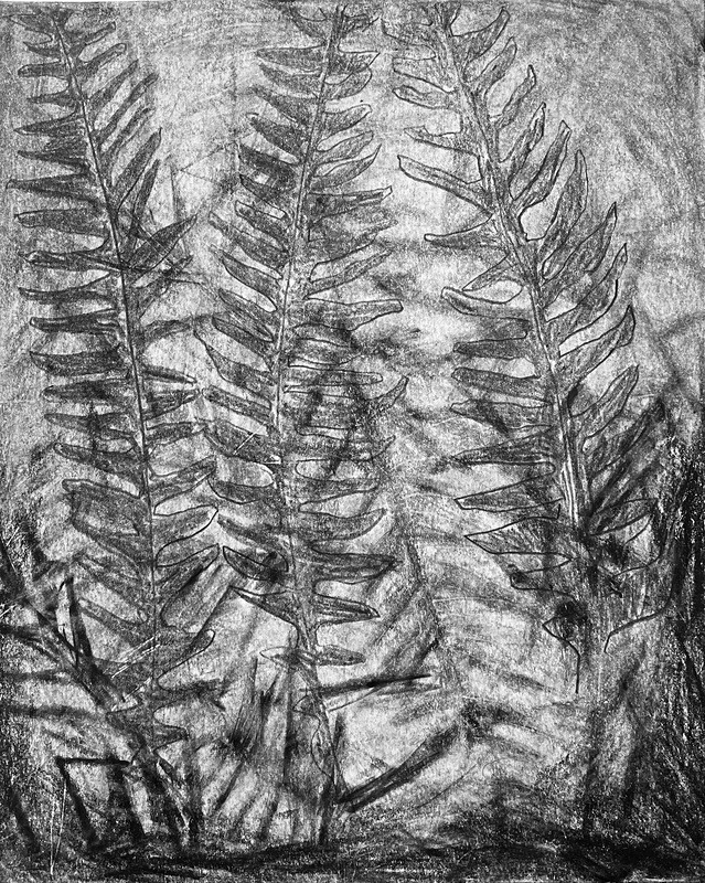 Bogland Matter 23, 16cm x 20cm - Burgeon Bog Project