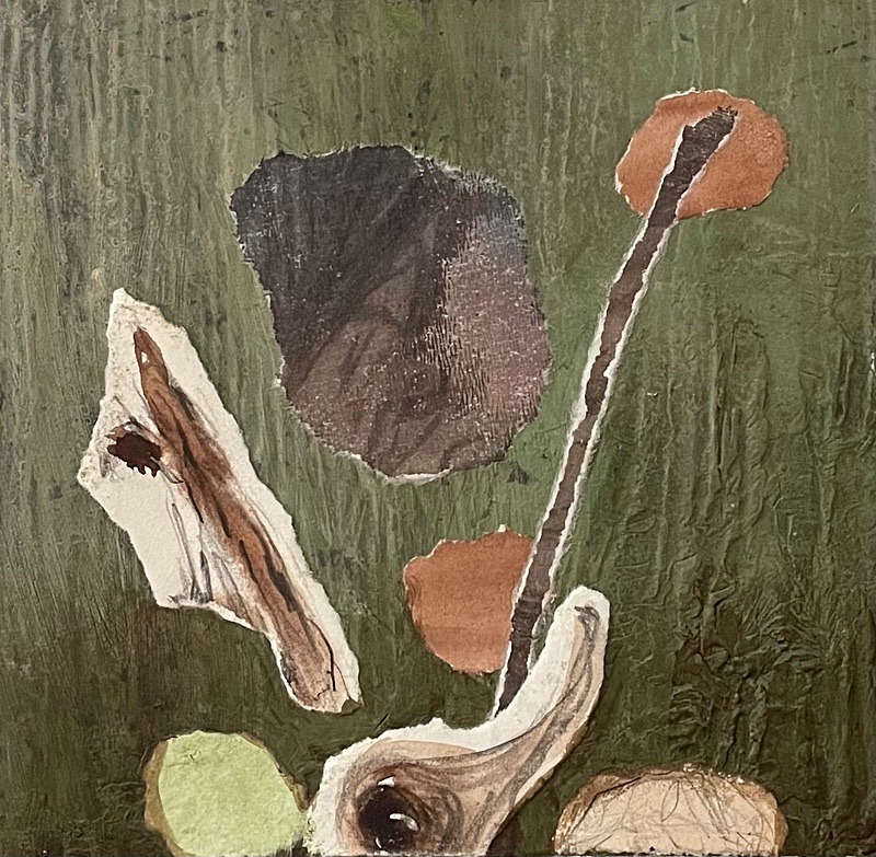 Bog Earth 6, 15cm x 15cm - Burgeon Bog Project