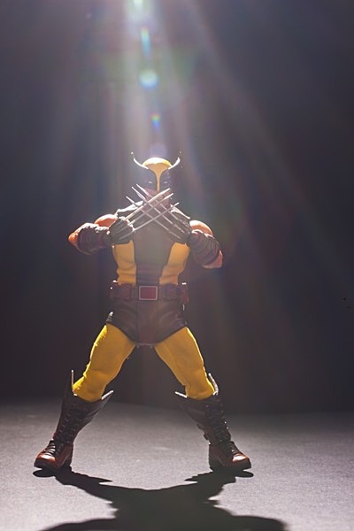 Wolverine Version A (IMG_3395) - Marvel