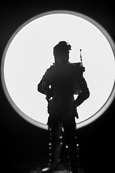 Trooper Silhouette (IMG_3025-2) - Star Wars