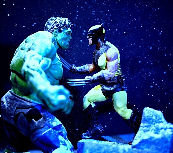 Hulk vs Wolverine (IMG_3637a) - Marvel
