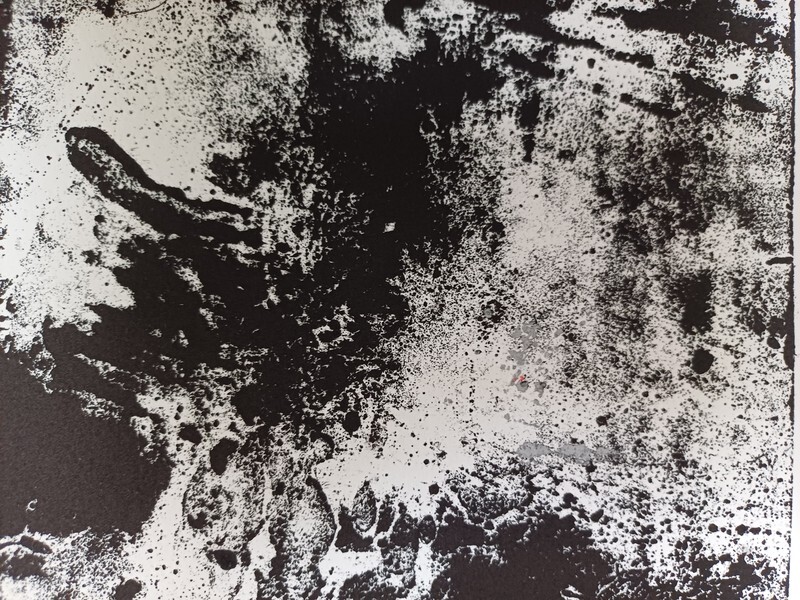  - Monotypes 2024