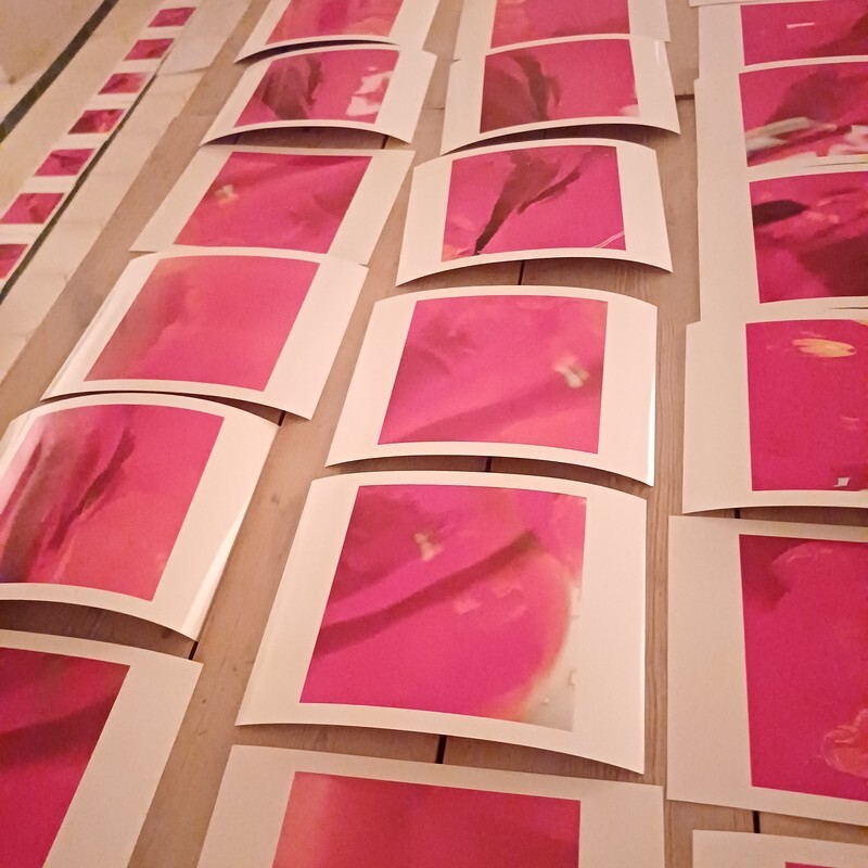  - PINK NOISE - EXHIBITION