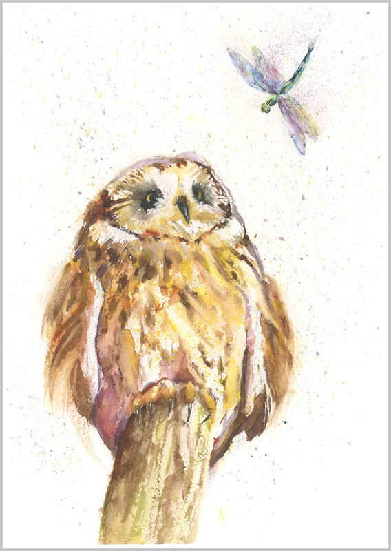 Owl and Dragonfly 413 - FEATHERS