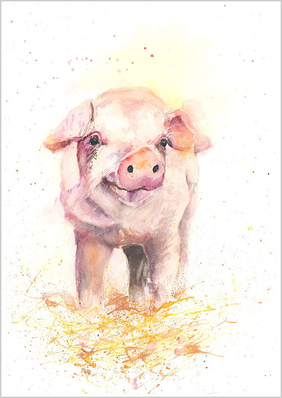 PIG Limited print 163