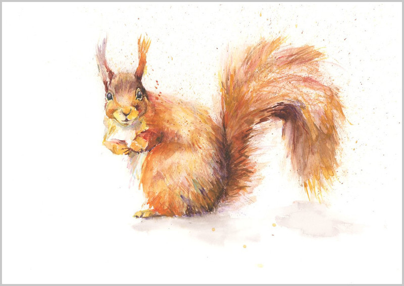 Squirrel Limited Edition Print 448 - WILD