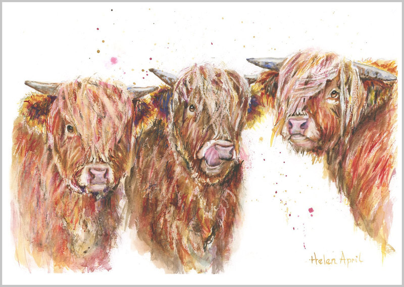 Highland Cows Three - ORIGINALS
