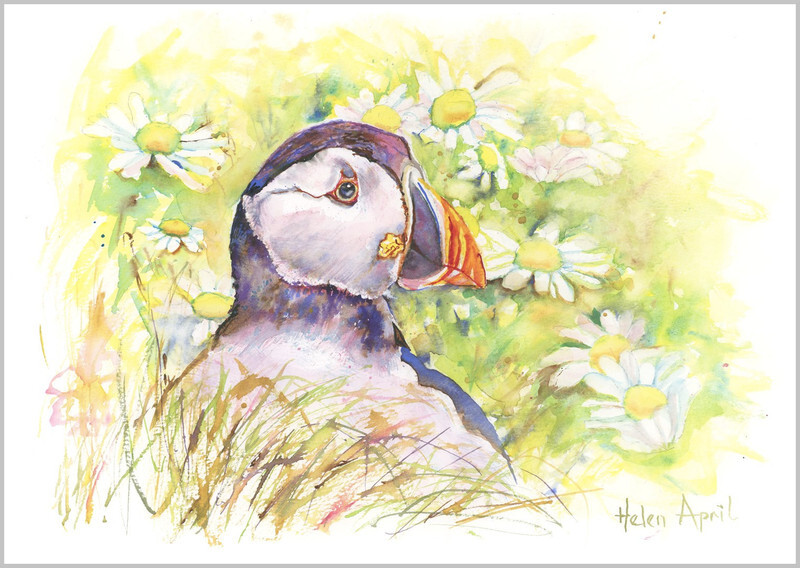 Puffin in Daisies - ORIGINALS