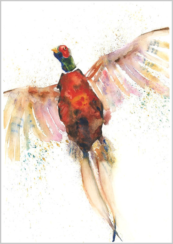 Pheasant Limited Edition Print 435 - FEATHERS