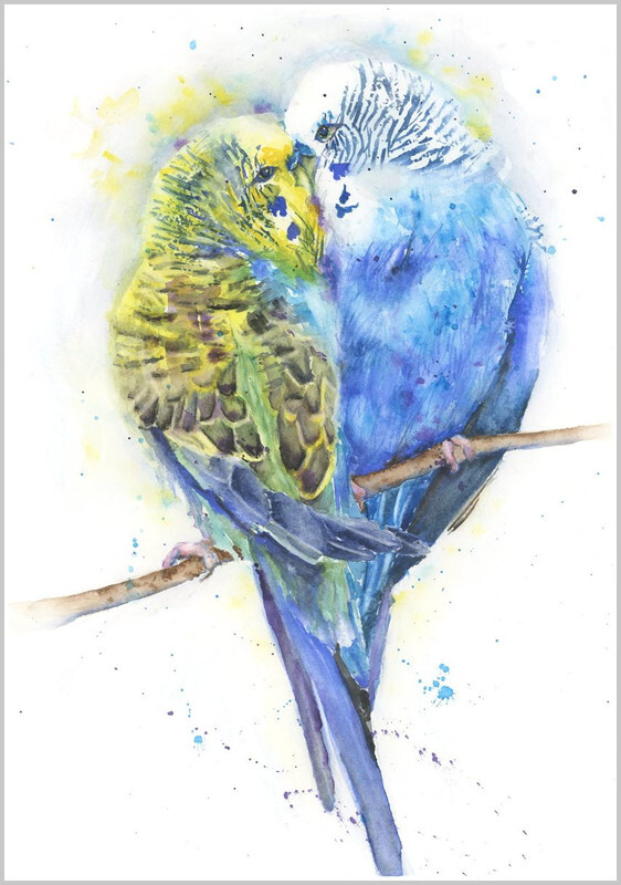 Budgies in love Fine Art Print 562 - FEATHERS