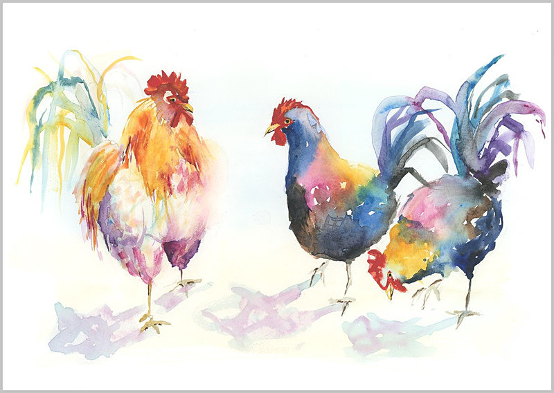 Limited print of THREE HENS watercolour 276 - FEATHERS
