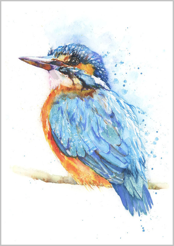 Kingfisher Fine Art Print 776 - FEATHERS