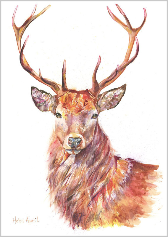 Stag Extra Large - ORIGINALS