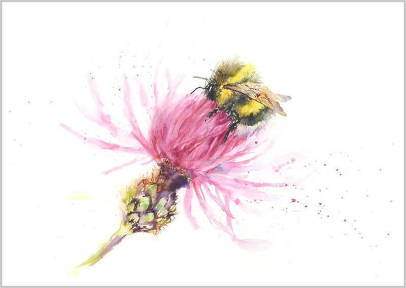 Bee and Knapweed Fine Art Print 635 - BUZZ