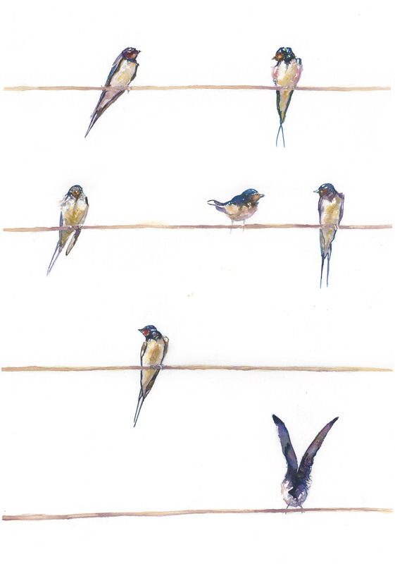 Swallows - COMMISSIONS
