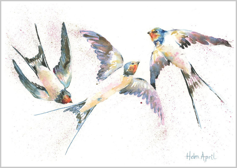 Swallows - ORIGINALS