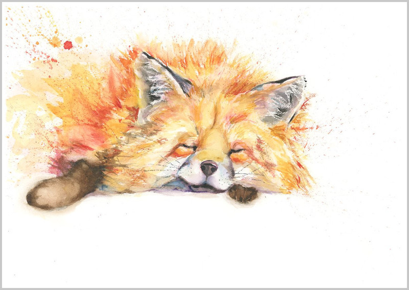 SLEEPY FOX Fine art print 438 B - WILD