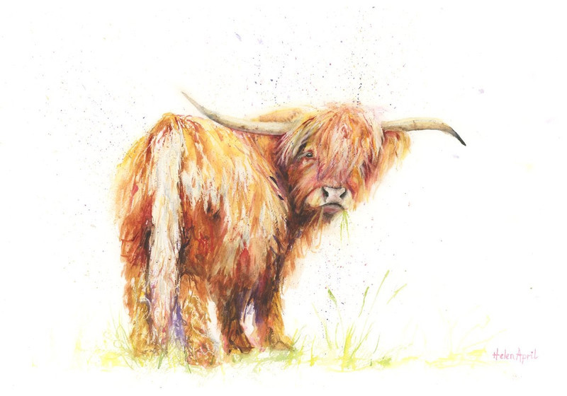 highland cow original art