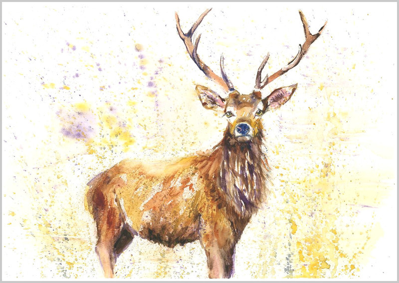 Proud Stag Limited Edition Print 363 - WILD
