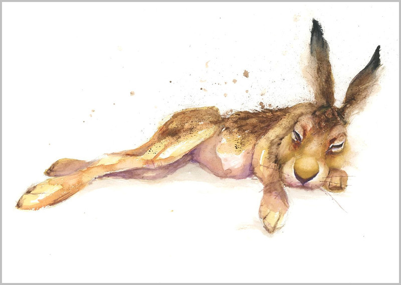 Sleepy Hare Limited Edition Print 423 - WILD
