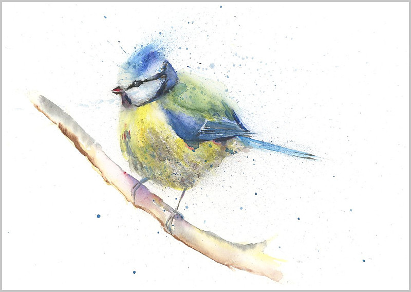 blue tit watercolour