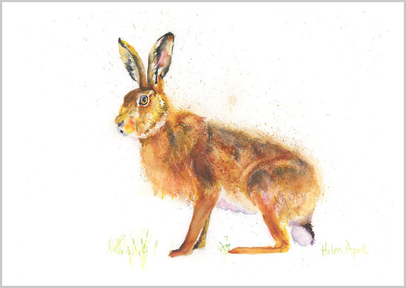 Hare - ORIGINALS