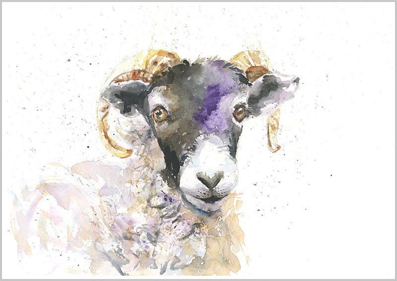 BLACK FACE SHEEP Limited Print 367 - FARM