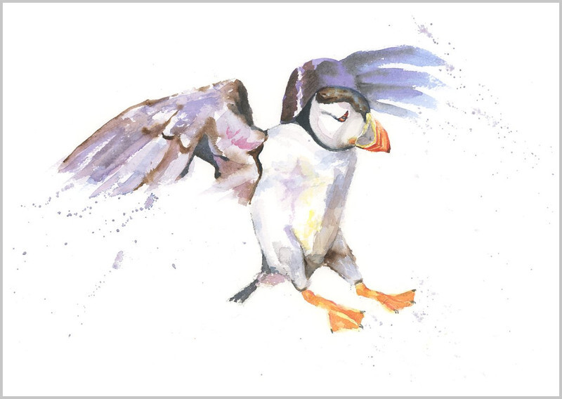 Puffin Landing Fine Art Print 443 - FEATHERS