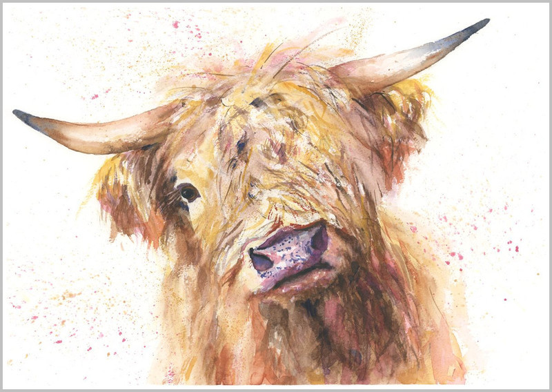 SOFT FOCUS HIGHLAND COW 497 B - FARM