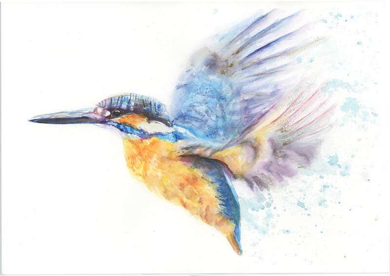 Flying Kingfisher Fine Art Print 532 - FEATHERS