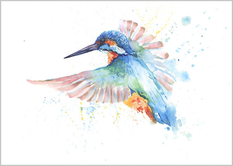 Kingfisher flying limited edition print 24500 - FEATHERS