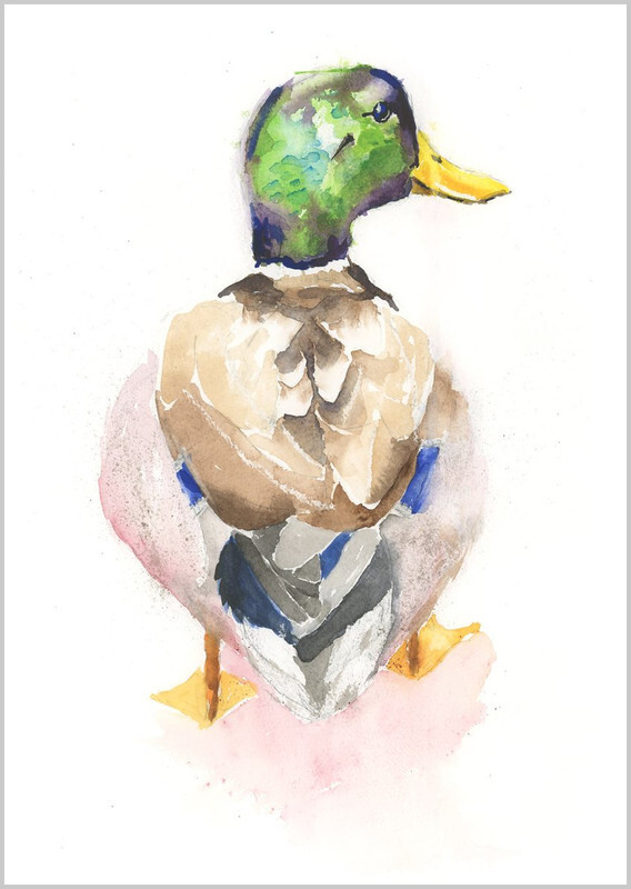 Mallard Duck Limited Edition Print 434 - FEATHERS
