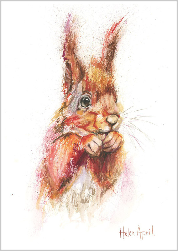 Red Squirrel - ORIGINALS