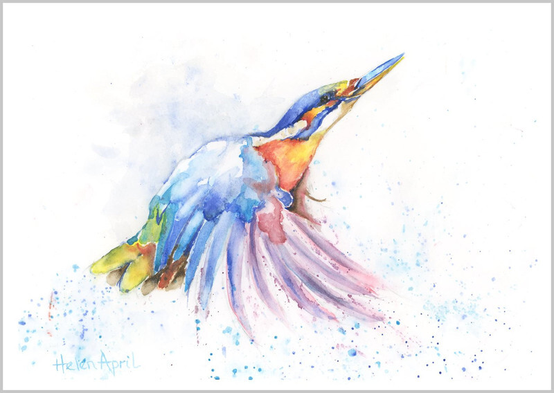 Kingfisher - ORIGINALS