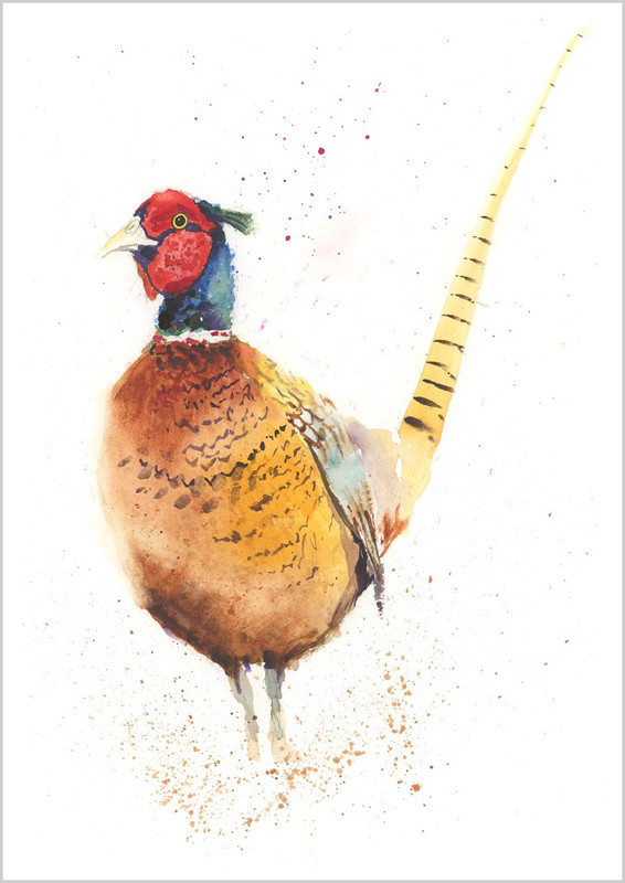 PLUCKY PHEASANT 200 B