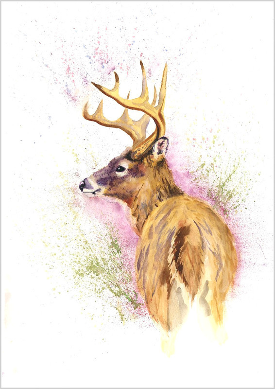 Stag Limited Edition Print 146 - WILD