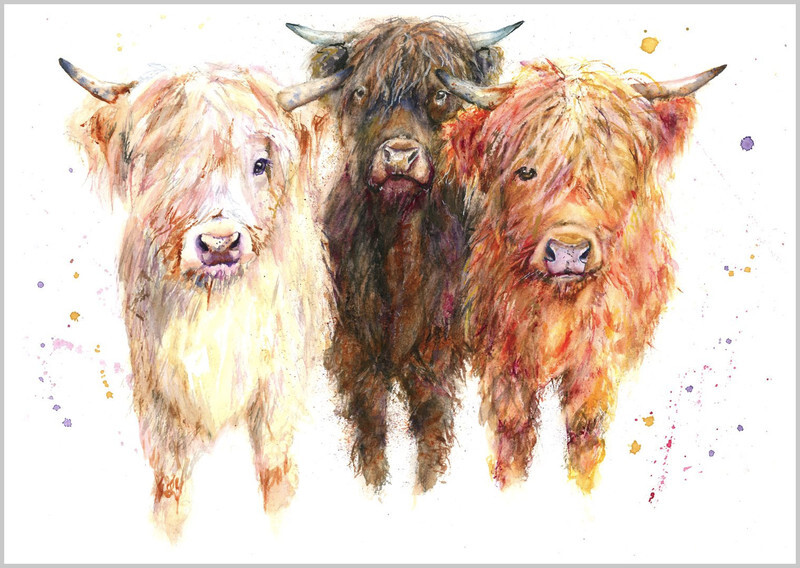 THREE HIGHLAND COWS 710 - FARM