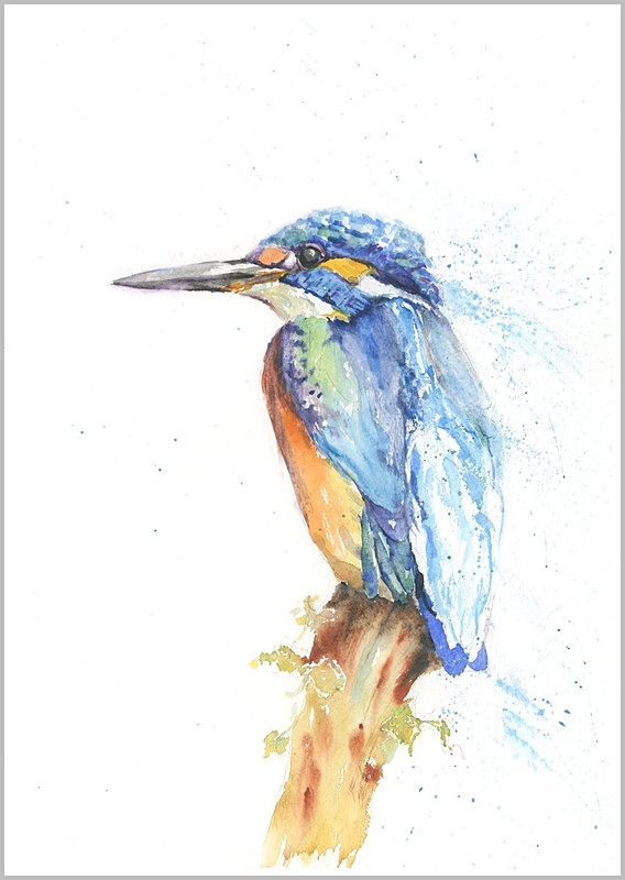 Limited print of KINGFISHER on stump watercolour 349 - FEATHERS