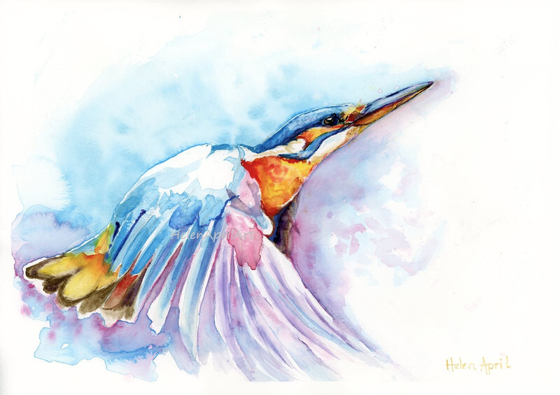Kingfisher - ORIGINALS