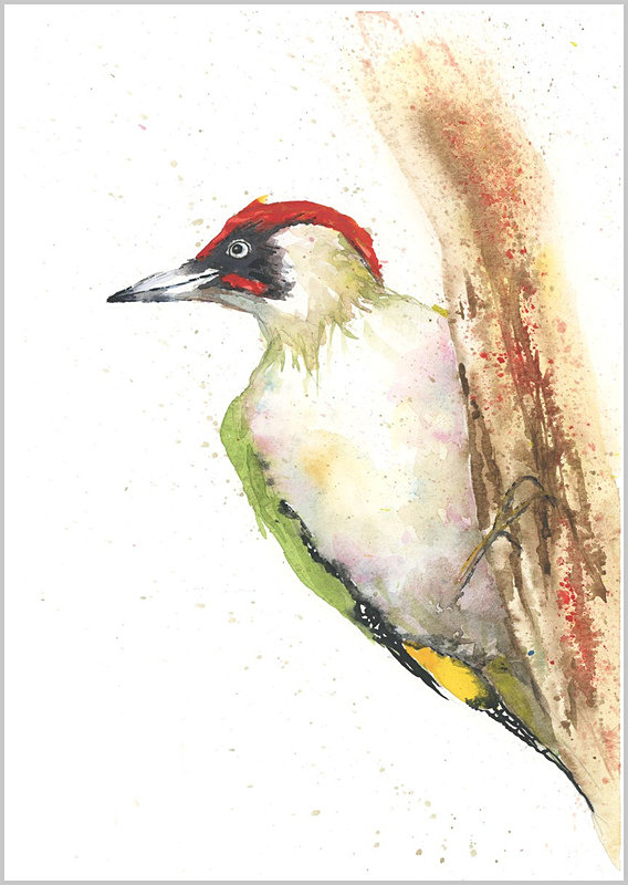 Limited print of GREEN WOODPECKER watercolour 289 - FEATHERS